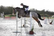A louer ponette D pour poney Élite/ As 2