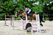 A louer ponette D pour poney Élite/ As 2