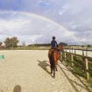 Pension box paddocks 