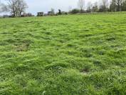 Pension prairie 4350 Remicourt 