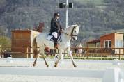 Cheval PRE
