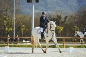 Cheval PRE