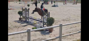 Poney 4 ans PFS gros moyens 