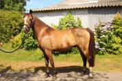 Pfs 3 ans 