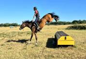 Cheval d’avenir