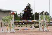 Ponette de sport
