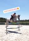 Hongre, 16 ans 