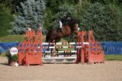 Jument de sport 5 ans 