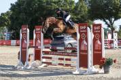 Jument de sport 5 ans 