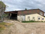 EXPLOITATION LAIT AOP Comté