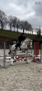 Poney à louer 