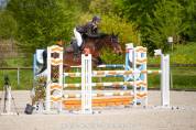 PFS - Jument, 12 ans