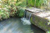 Moulin à eau UNIQUE et RESTAURE sur domaine de 8 ha