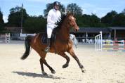 In Love Boisy cheval pour Amateur de 7 ans 1m72