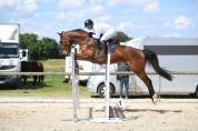 In Love Boisy cheval pour Amateur de 7 ans 1m72