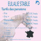Pension chevaux – Brassac (82190) – Dès 200€/mois