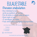Pension chevaux – Brassac (82190) – Dès 200€/mois