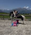 Poney à vendre