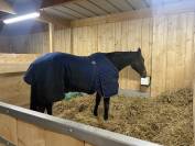 Pension Pré & Paddock Paradise