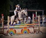 Cheval de 9 ans 