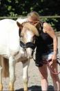 Poney D de loisir 