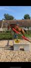 Hongre PS de 10 ans