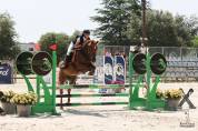 Recherche cheval à confier 