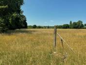 Haras de 22 hectares au nord de Saumur