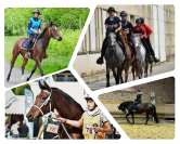 Cavalière indépendante/Valorisation chevaux d'endurance