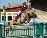 Poney à louer 