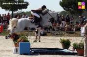 Poulain PFS