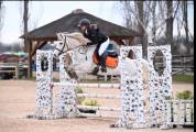 Ponette 8 ans à louer 