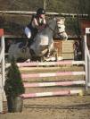 Ponette 8 ans à louer 