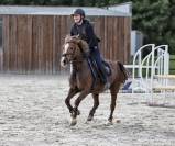 Ponette welsh pony 17 ans 