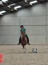 Jolie ponette