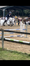 PONY D