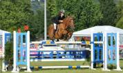 Potranca Silla Francés En venta 2024 Bayo por papillon de l odyssee