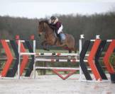 Cheval de sport 7 ans – Origines Par Amant du Château 