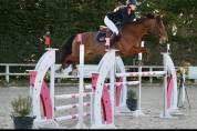 Cheval de sport 7 ans – Origines Par Amant du Château 