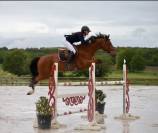 Cheval de sport 7 ans – Origines Par Amant du Château 