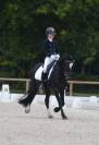 Etalon Welsh Cob D