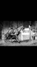 Poney D 