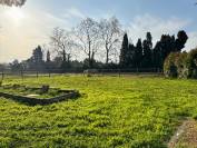 MAS 119 M2 SUR 4680 M2 DE TERRAIN