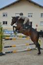 Cheval de saut / sport 