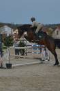 Cheval de saut / sport 