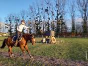Jument OC Quarter horse