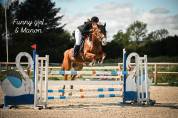 Écurie Eden horse 