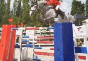 Pension chevaux 