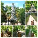 Demi pension promenade forêt de Chantilly-Ermenonville 