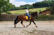 Joya TD - Jument PRE - 6 ans